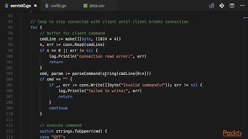 Network Programming with Go: A TCP Server with a Custom Protocol |packtpub.com