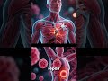 Anti-Aging Secrets That Actually Work in 2026