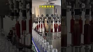 Sea Buckthorn Vinegar Filling Machine | Automatic Bottle Filler | DairyJuiceMachinery