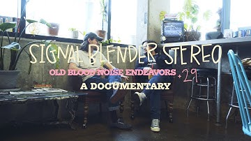 Old Blood Noise x 29 Pedals Signal Blender Stereo