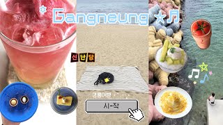 내 삶은 .. 감자 🍟 | 뚜벅이들의 강릉 당일치기 👭🏻|애시당초•시만차•aie•평탄•강릉길감자•초당커피정미소•삶은감자•리도커피•리틀다이너 …  ჱ̒ ｰ̀֊ｰ́ )
