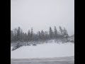 Зелёный Бор в снегу, Пушкинский район с Ярославского шоссе (по пути в Углич) (05.01.21)