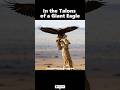 In The Talons Of A Giant Eagle The Lion Cub S Fate Eagle Lion 