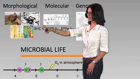 Evolution of microbial life - Dianne Newman (Cal Tech/HHMI)