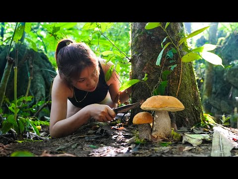 Picking Poisonous Mushrooms And Cooking Knowledge Of Bushcraft And