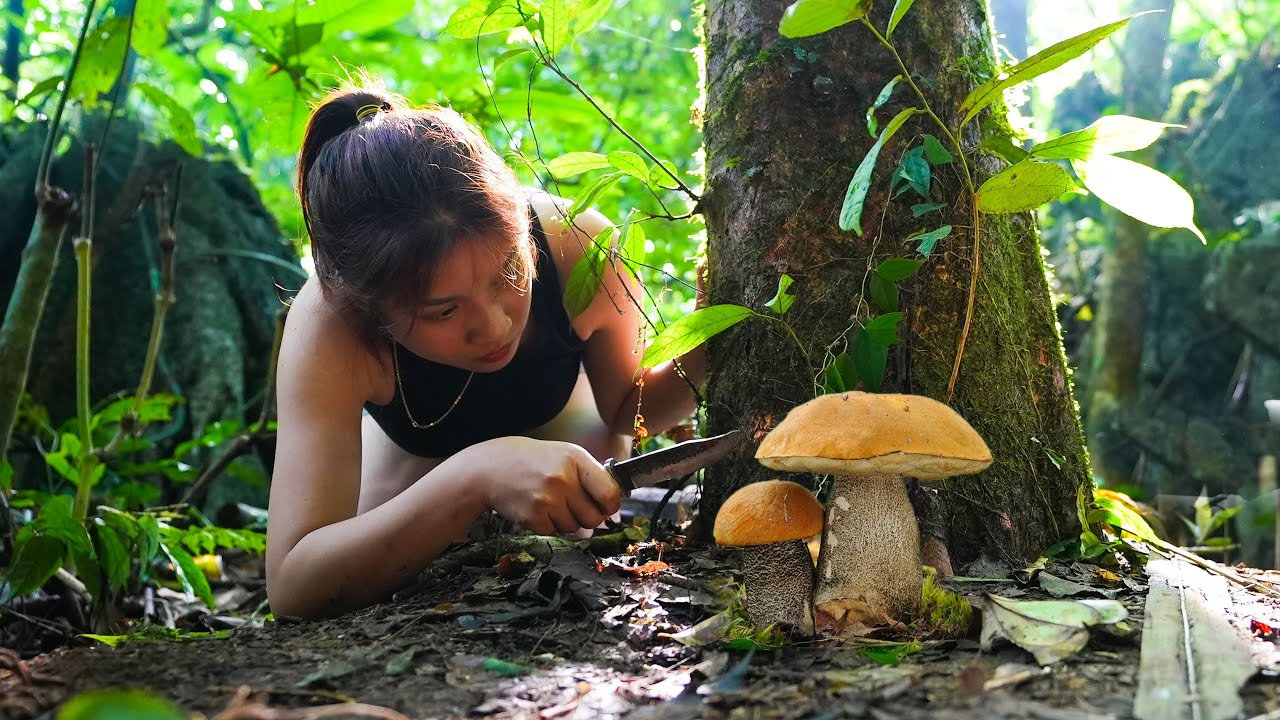 ⁣Picking Poisonous Mushrooms and Cooking? - Knowledge of Bushcraft and Survival/ P.2