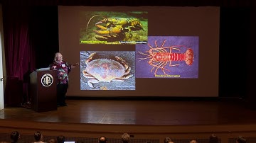Eve Marder, Brandeis: Surprising robustness and reliability in neuronal circuits