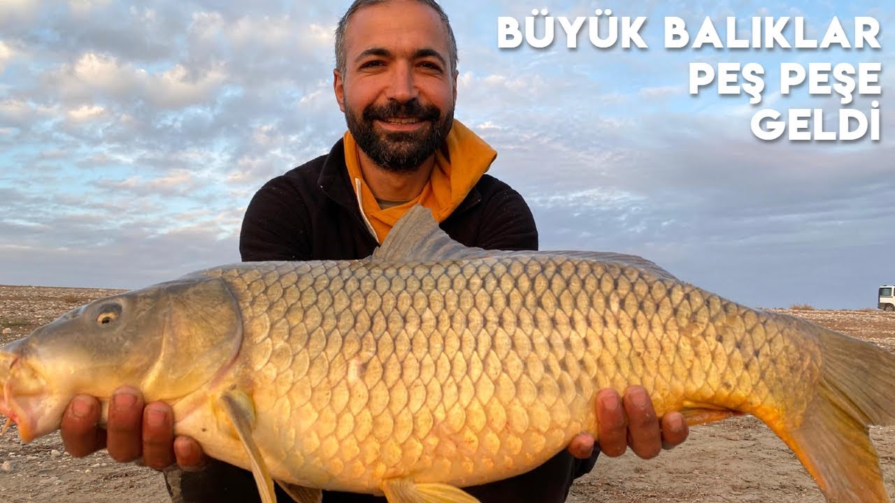 Balık avı - Balığın yuvasını bulduk - limit üstü dev balıklar ( trofe sazan avı 2021 )