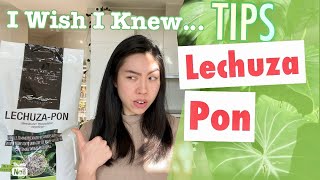 How to use Lechuza Pon? | Watering | Transition | Types of Plants | Plant Tour | Pros & Cons