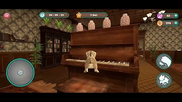 Cat Simulator 2 Gameplay #4