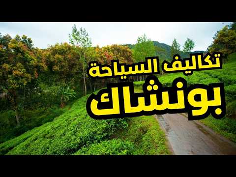 السياحة في بونشاك إندونسيا تكاليف 2025 فنادق مطاعم مواصلات أنشطة