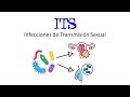 ???? ¿Qué son las Infecciones de Transmisión Sexual (ITS) ???? Ejemplos ???? [Fácil y Rápido] |