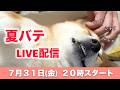 夏本番！！グデっとLIVE配信！！