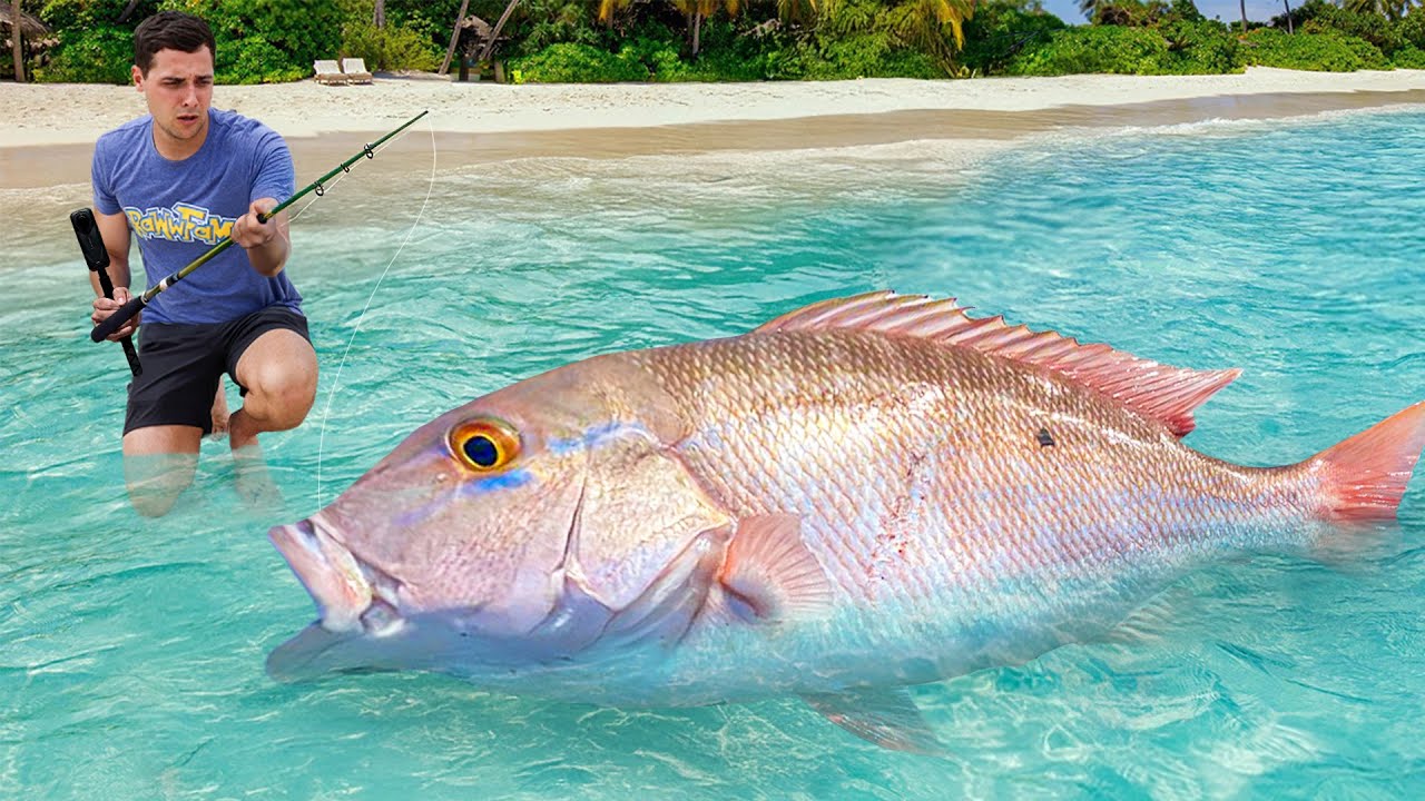 I Caught A Giant Sea Monsters to Feed My Pets…