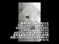 あの空の向こうで / 狐火 Track by 観音クリエイション