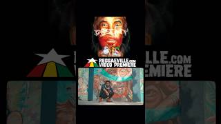 Destiny - Posthumous Lee &#39;Scratch&#39; Perry Album, produced by Bob Riddim #reggaeville #leescratchperry