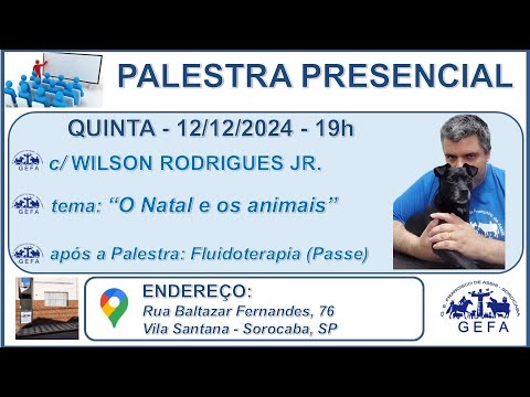 Assista: Palestra Presencial - c/ WILSON RODRIGUES JR. (12/12/2024)