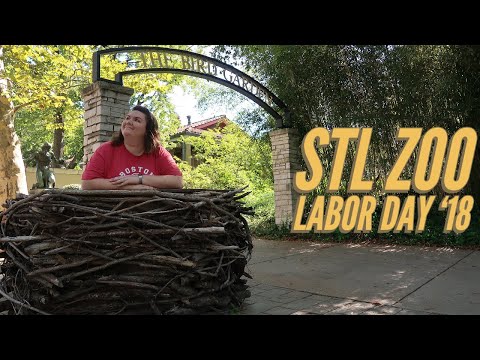 Saint Louis Zoo | Labor Day 2018 - YouTube