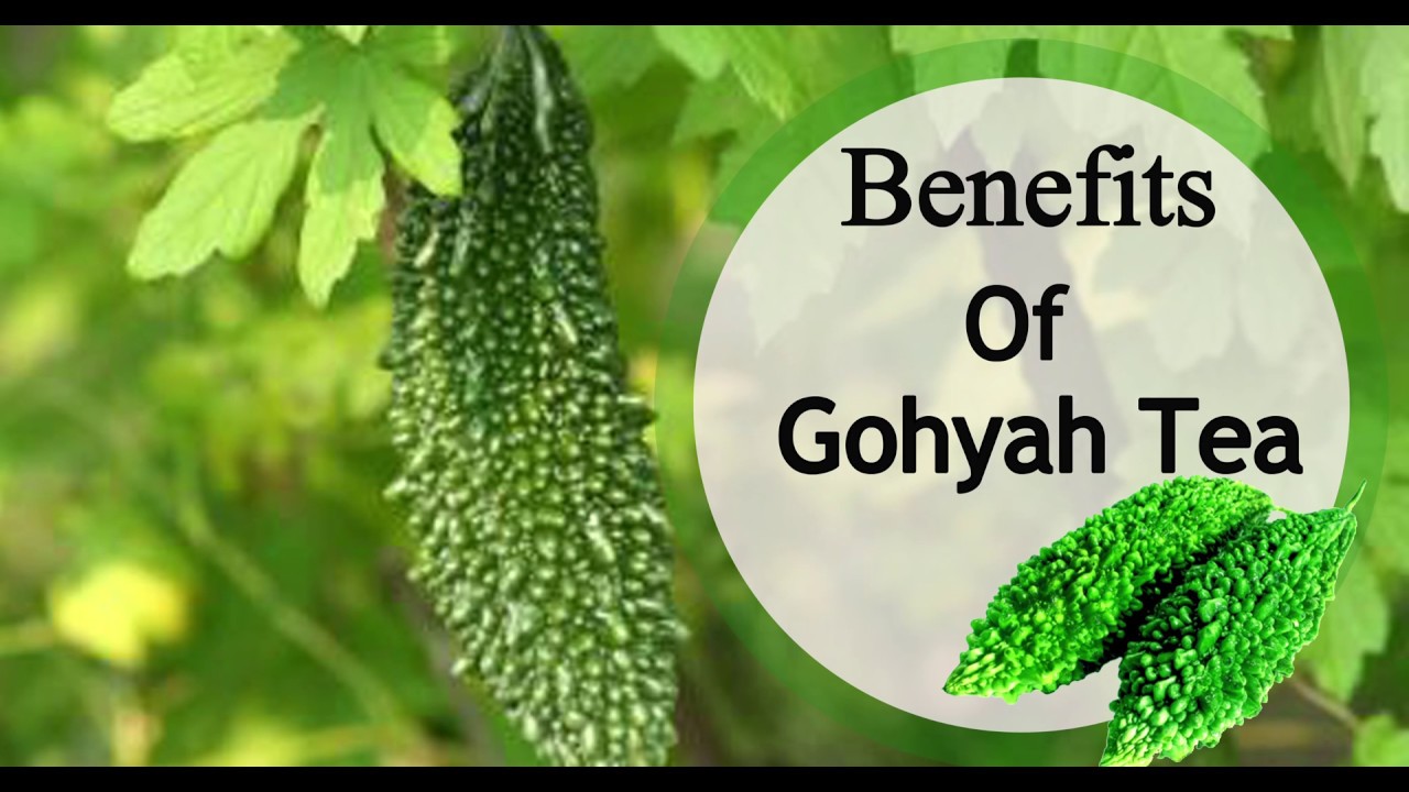 Benefits Of Gohyah Tea