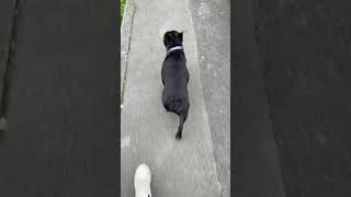 Tippy Tappy