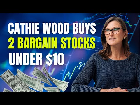 Cathie Wood Secret Bargain Stocks Under $10
