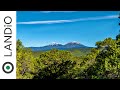 40 Acres of Land for Sale in Colorado with Cabin & Mountain Views - LANDiO