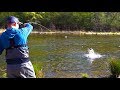 Fly Fishing for BIG Rainbow Trout in a Shallow River