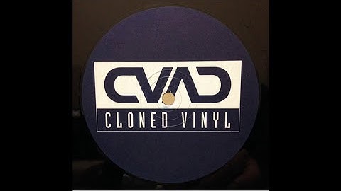 Evolution - Davide Squillace ‎– Organik   EP