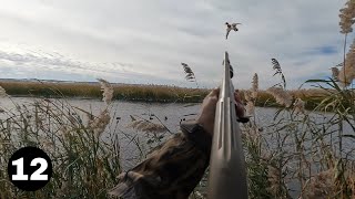 Unforgettable Duck Hunt: A Bad Day Turned into Limits!