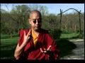 Yongey Mingyur Rinpoche on Benefits of Meditation