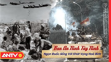 Ban An Ninh Tây Ninh - Ngọn Đuốc Sống Với Khát Vọng Hoà Bình | Phim Tài Liệu | ANTV