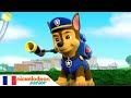 Paw Patrol : la Pat'Patrouille | La cascade | NICKELODEON JUNIOR