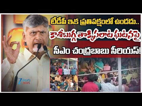 CM Chandrababu Full Speech At Sri Sathya Sai District | Zee Telugu News - ZEE24TELUGUNEWS