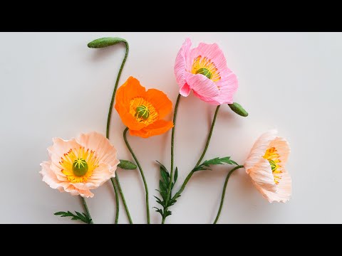 How To Make