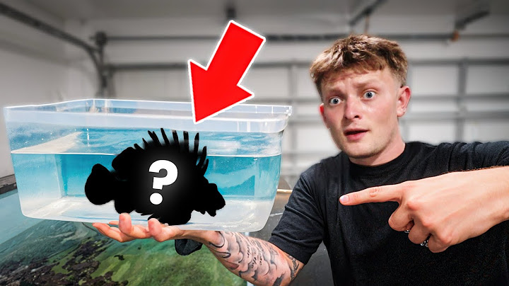 CATCHING DANGEROUS FISH For MY POND!
