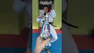 Best Taekwondo Kicks