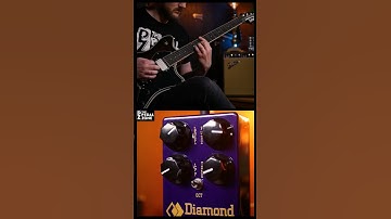 Synthy Fuzz Arpreggios @sgfxdiamond F-OCTAVE #octave #fuzz #effects #guitar #thepedalzone #lofi