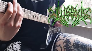 Neuraxis - Reptile (Guitar Cover)