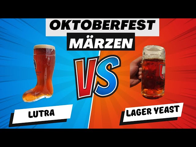 LUTRA Kveik vs a TRUE LAGER | Märzen Oktoberfest Split Batch class=