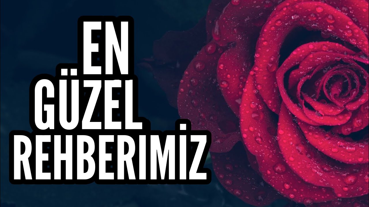 O’DA BİR İNSANDI ! |  PEYGAMBERİMİZ (sallallâhu aleyhi ve’sellem)
