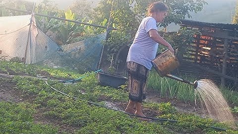 Come see me on 5/12/25