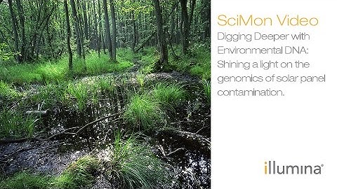 Digging deeper with Environmental DNA: reconstructing ancient ecosystems