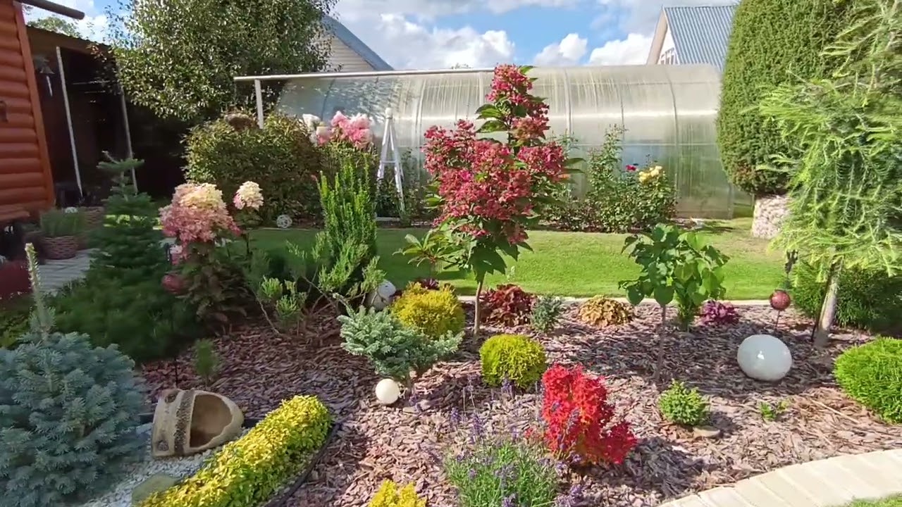 25 августа 2025 г.