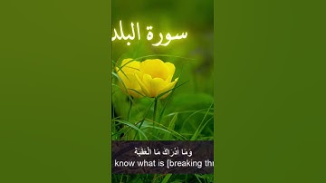 ايات من سورة البلد - بصوت الشيخ عبد الباسط عبد الصمد رحمه الله  #القرآن_الكريم #اكسبلور #المصحف