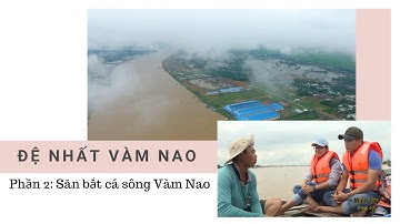 MIỀN TÂY TRONG TÔI | ĐỆ NHẤT VÀM NAO_TẬP 2_SĂN BẮT CÁ SÔNG VÀM NAO
