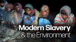 How Modern Slavery Impacts the Environment