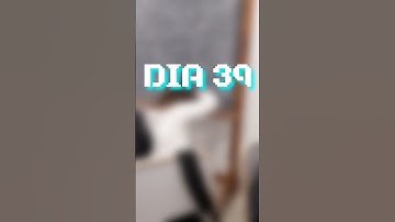 DIA 39 CREANDO NUESTRO VIDEOJUEGO | #videogames #random