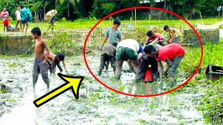 Traditional Village Hand Fishing | Amazing Hand Fish Catching From Mud Water | VillageExclusive