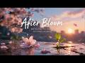 🌸 After Bloom - Daniella Yang