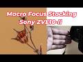 Macro Focus Stacking, Chụp ảnh Macro bằng Sony ZVE10-II (ZVE10M2) và  Lens Macro FE 2.8/50 Macro